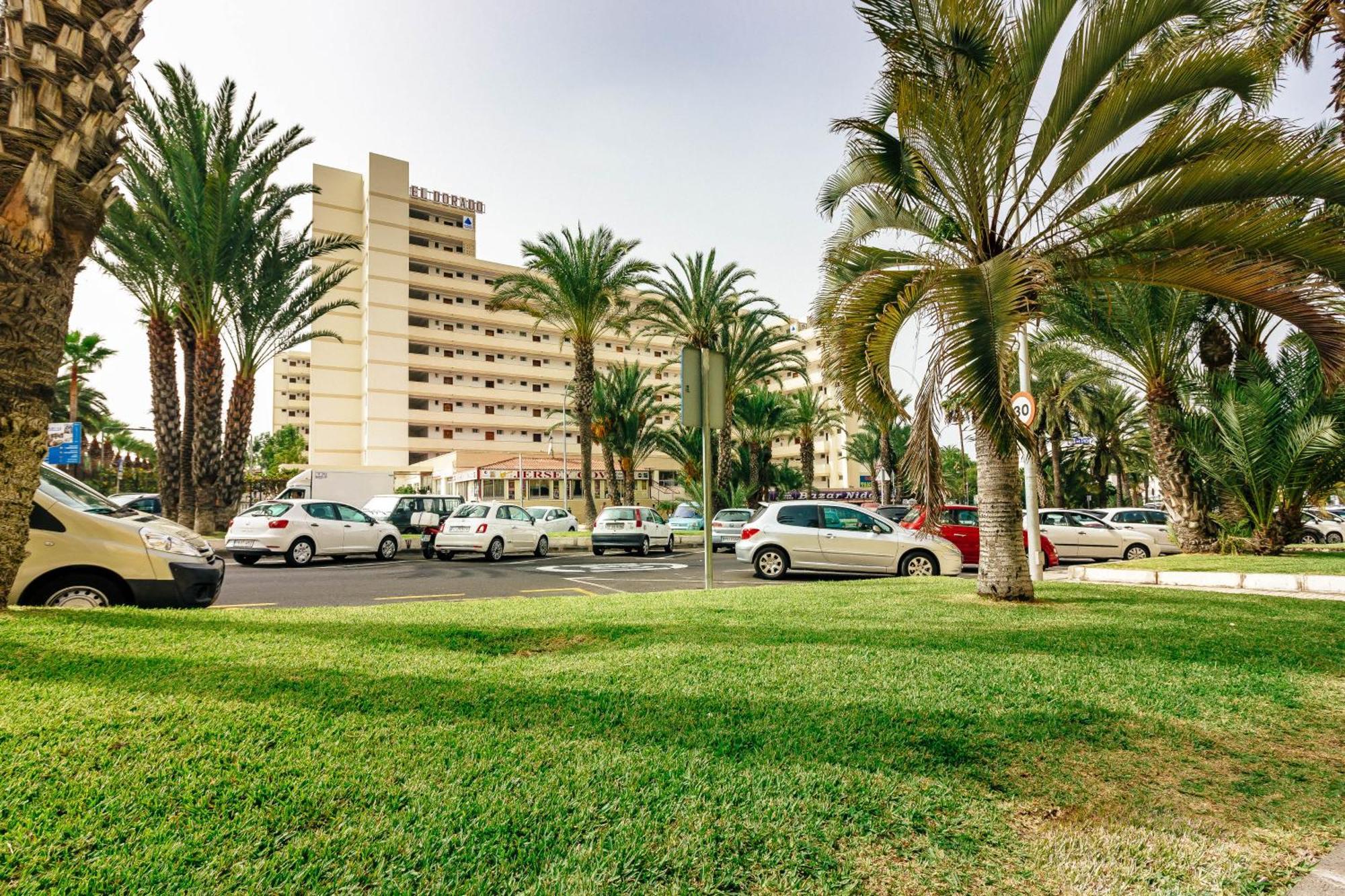 1Bdr El Dorado Ocean View Las Americas 美洲海滩 外观 照片