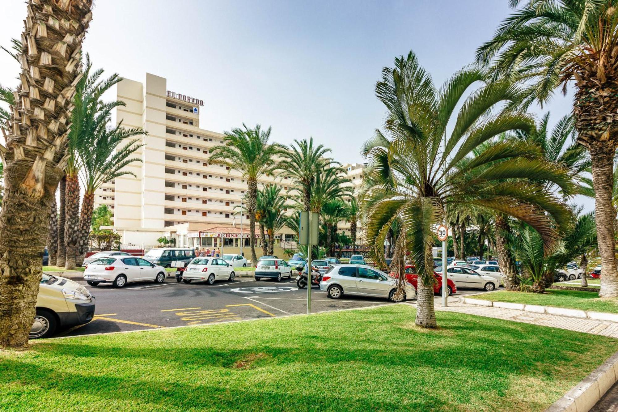1Bdr El Dorado Ocean View Las Americas 美洲海滩 外观 照片